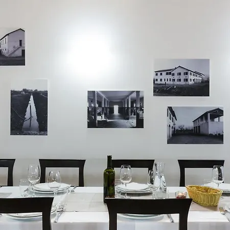 Arneroni مزرعة للإقامة Codognè