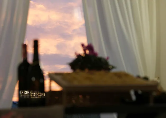 팜스테이 Arneroni *